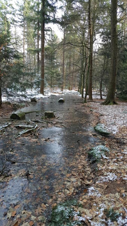 Reewold Veluwe Villa Путен Екстериор снимка
