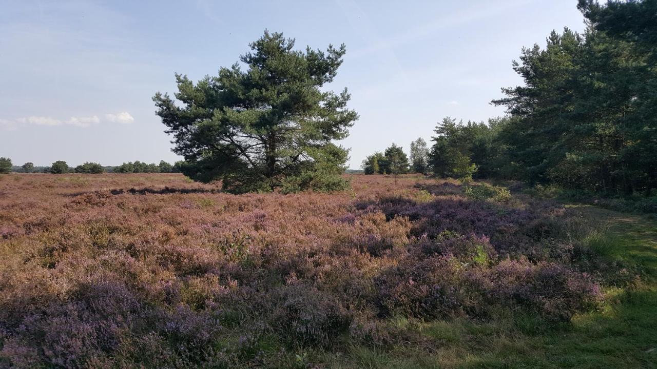Reewold Veluwe Villa Путен Екстериор снимка