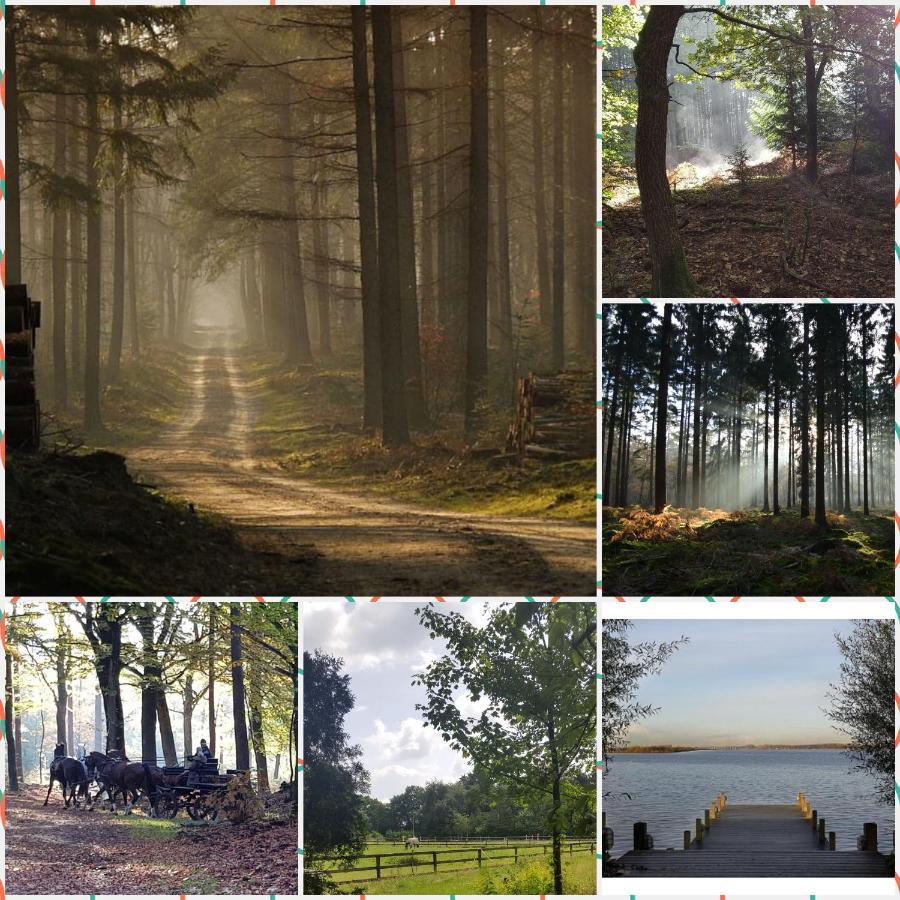 Reewold Veluwe Villa Путен Екстериор снимка