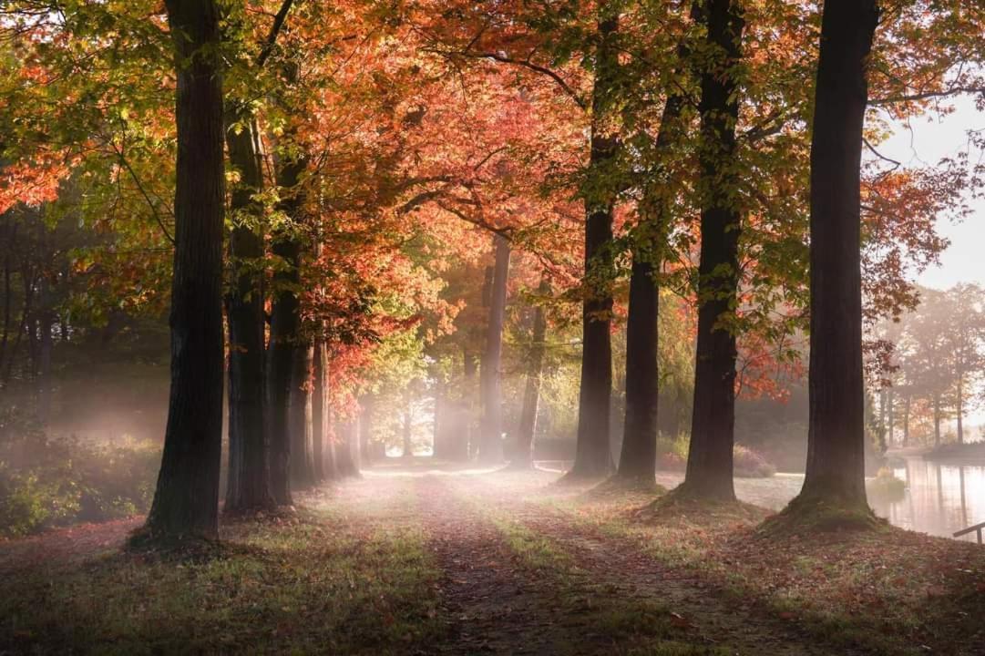 Reewold Veluwe Villa Путен Екстериор снимка